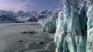 Guillemots - If The World Ends (Live)