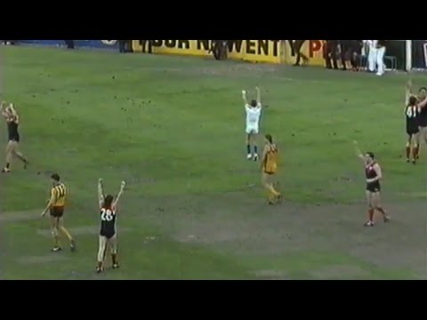 1990 AFL Elimination Final - Melbourne vs Hawthorn