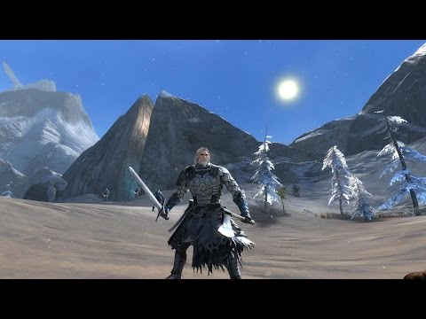 Guild Wars 2 Random Gameplay Part 117