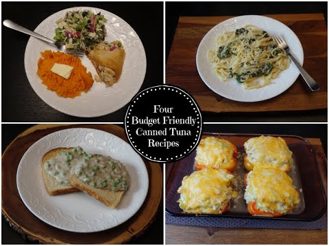 4 Budget Friendly Delicious Canned Tuna Recipes