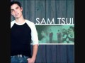 Lady Gaga Medley - Sam Tsui 