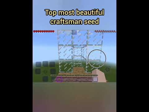 Top most beautiful craftsman seed.