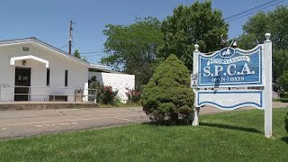 Danville SPCA cares for animals during heat wave