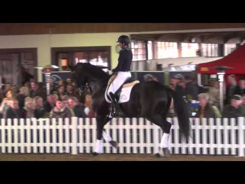 Rocky Lee (2007) : Rock Forever X Justinian xx - Krüsterhof 2016