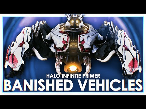 The Lore Behind ALL The Banished Vehicles (Halo Infinite Primer) ft. Covenant Canon