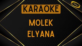 Download lagu Elyana - Molek [Karaoke] mp3
