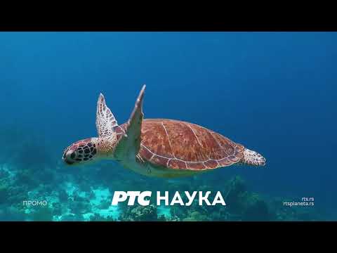 RTS Nauka na RTS Planeti