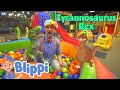 Blippi Visits An Indoor Playground Learning Videos For Kids Education Show For Toddlers