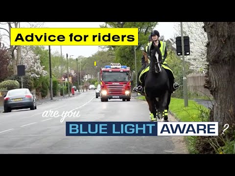 Blue Light Aware Short 12 - Advice For Horse Riders