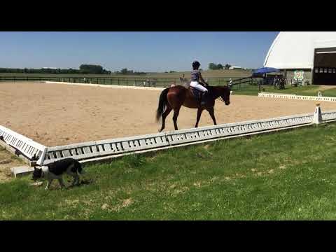 Cinder and Brittany Bru