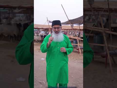 #ChhipaSahab #Chhipa #MrChhipa #SocialWorker #Qurbani