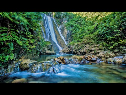 𝐕𝐚𝐭𝐝𝐨𝐫𝐨 𝐁𝐚𝐧𝐝 𝐋𝐢𝐯𝐞 𝐒𝐡𝐨𝐰 || YUMI 40 2020 (𝐞-4 🇻🇺)