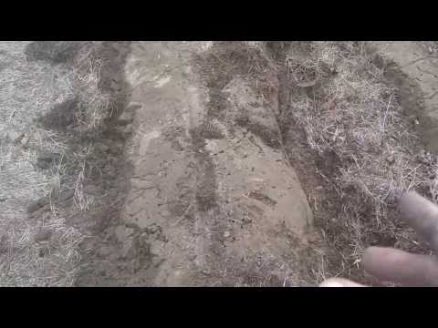 The 52 Week Gardener - WK 1/2 2014 - Pulling Out Last Years Garden