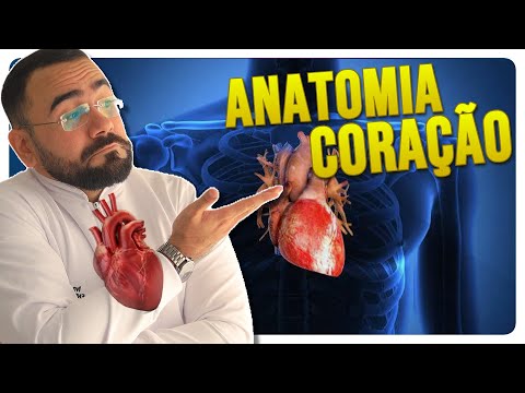 BASIC HEART ANATOMY: ATRIUM, VENTRICLE, VALVES (FULL CLASS)