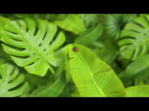 Vaishnaoi Southwoods Villas Project Tour 1