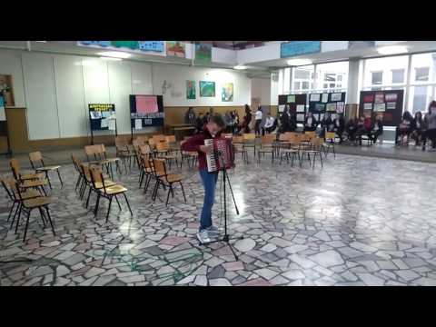 Meden cocek (harmonika) -natprevar