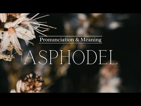 How to Pronounce: Asphodel | British Pronunciation & Meaning
