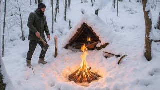 Lost in the Wilderness: How to NOT Freeze to Death -9 °C -Winter Survival & Bushcraft-No Tent or Bag
