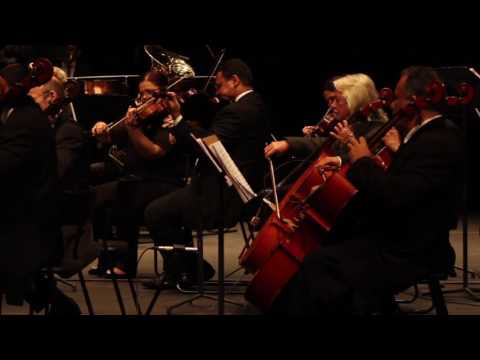 Suite o Lago dos Cisnes (V- Czardas) - P. I. Thaikovsky