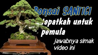 Download lagu Bonsai Santigi (pemphis acidula) indah dari akar sampai pucuk mp3 Download lagu Bonsai Santigi (pemphis acidula) indah dari akar sampai pucuk mp3