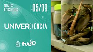 ÓLEOS ESSENCIAIS, CARVÃO VEGETAL, METAVERSO E LAGARTOS NO UNIVERCIÊNCIA | TVE BAHIA 05/09/2026
