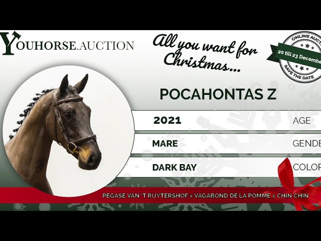 Pocahontas try out December 20