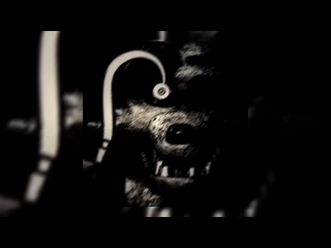 𝐏𝐇𝐎𝐑𝐎𝐌𝐀𝐍𝐄 | 𝐌𝐎𝐍𝐓𝐀𝐆𝐄𝐌 𝐃𝐎𝐋𝐋𝐀𝐑 𝐃𝐔𝐂𝐊 - 𝐒𝐋𝐎𝐖𝐄𝐃 ㄨ 𝐅𝐎𝐗𝐘 𝐓𝐇𝐄 𝐏𝐈𝐑𝐀𝐓𝐄 