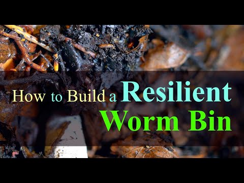 Worm Bin Temperature, Humidity, and Acidity (2024)