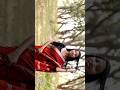 SARI SARI REHNA MUJHKO NEED NA AAYE KOI CHORI MERA CHAIN CHURAAYE 4K Shorts Love Story Vastu