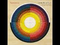 Semisonic - Little Bit Of Sun (Audio)
