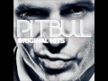 Pitbull-Guilty By Associatin - Kerem Kandemir Pitbull-Guilty By Associatin