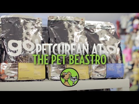 download lagu mp3 mp4 Go Dog Food, download lagu Go Dog Food gratis, unduh video klip Go Dog Food