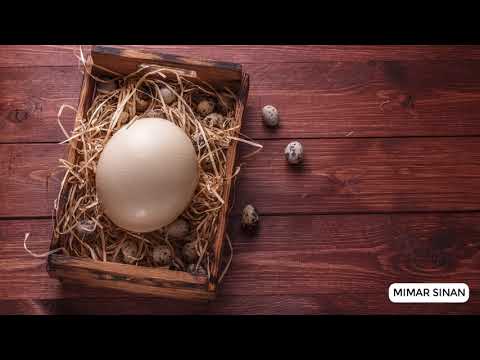 Mimar Sinan, the Ottoman Empire’s Master Architect