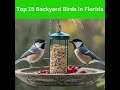 Top 15 Backyard Birds in Florida