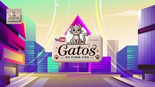 Oque eles fazem quando o Sol aparece #cat #pets #gatos