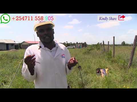 Hydrogeological Survey