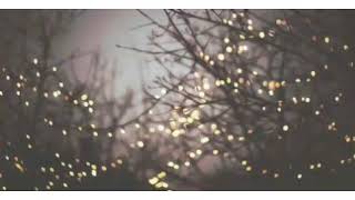 Caloncho y Carlos Sadness - Semilla Negra Letra