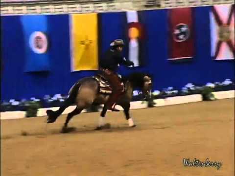 Rio (CFR Centenario Wimpy) - NRBC Derby Open Finals 2011