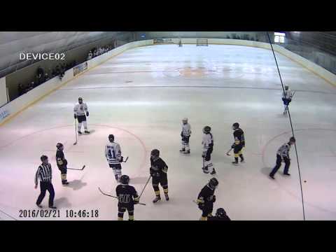 U16 240 2016 02 21 II Kamera   Gepard  Mac B