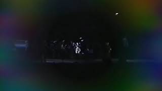 Lynyrd Skynyrd-Preacher Man 7/28/99 Delaware