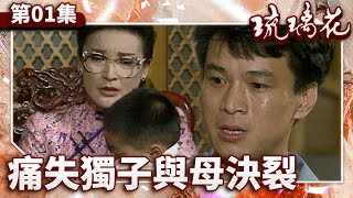 [情報] 中視戲劇花系列『琉璃花』上架