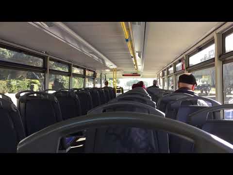 STCP Porto #2956 - MAN Lion’s City DD (Voith)