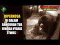 BALAS DENDAM SETELAH D1PERKOS4 PRIA PSIKOP4T ALUR CERITA FILM PSIKOPAT BIG DRIV3R