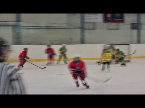 2009 - Zápas s HC Rodos Dvůr Králové n. L. (6.1.2019)