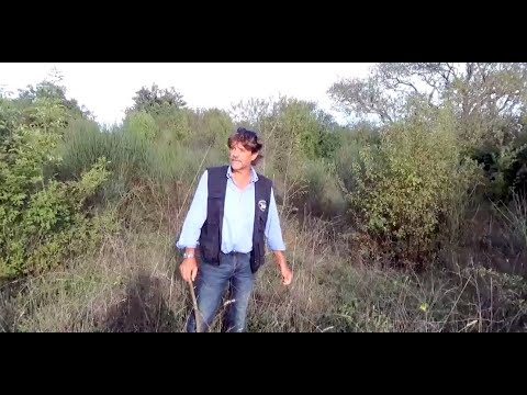 La necropoli etrusca di Pian Conserva: un patrimonio abbandonato. Le riflessioni di Flavio Enei.