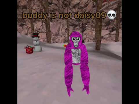 Buddy is not daisy 09 #gorillatag #daisy09