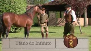 preview picture of video 'Ufano do Infinito [Remate Vaquero 2013]'