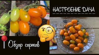Томат Финик красный: отзывы, описание сорта, фото, видео, отзывы ...