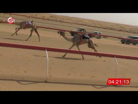  ش 4 (موفق) لـ سعادة محمد سلطان بن مرخان الكتبي 7:36 , شارة الديوان 2026/3/02 لقايا الجبيب