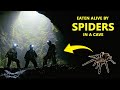 Cave Explorer Eaten Alive By Spiders???